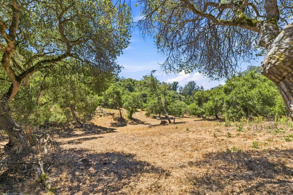 18820 Vierra Canyon Road Property Photo 30