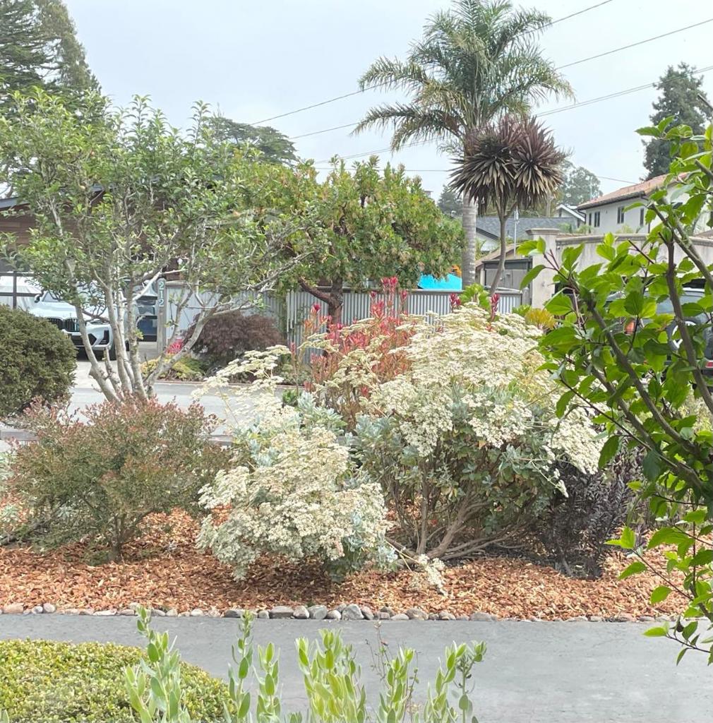215 Lamanda Drive Property Photo 8