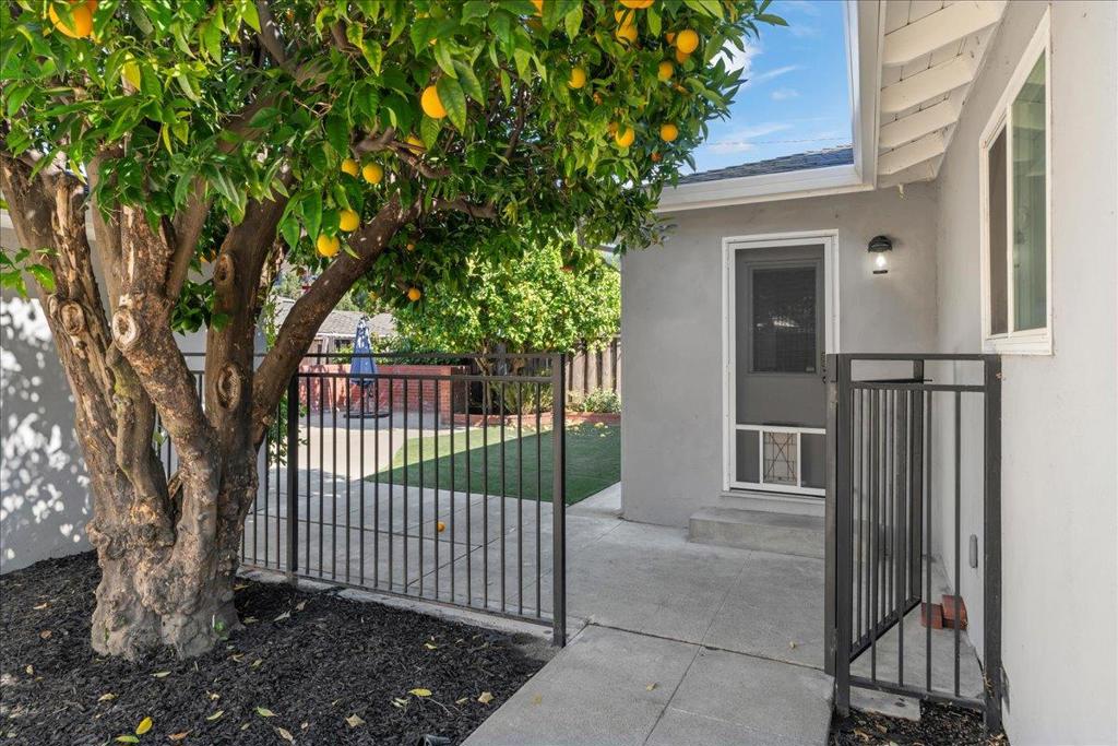 773 Frederick Avenue Property Photo 45
