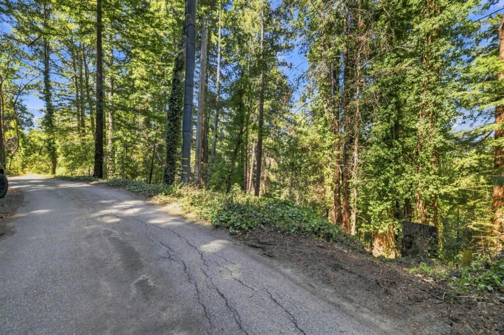 1130 Blue Ridge Drive Property Photo 3