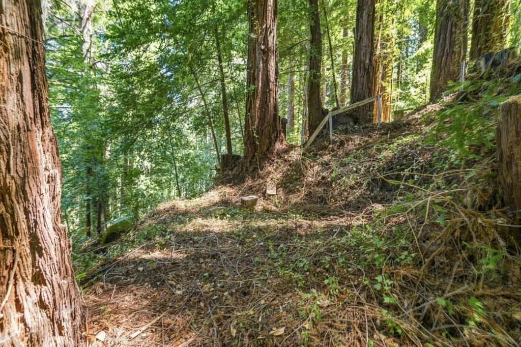 1130 Blue Ridge Drive Property Photo 8