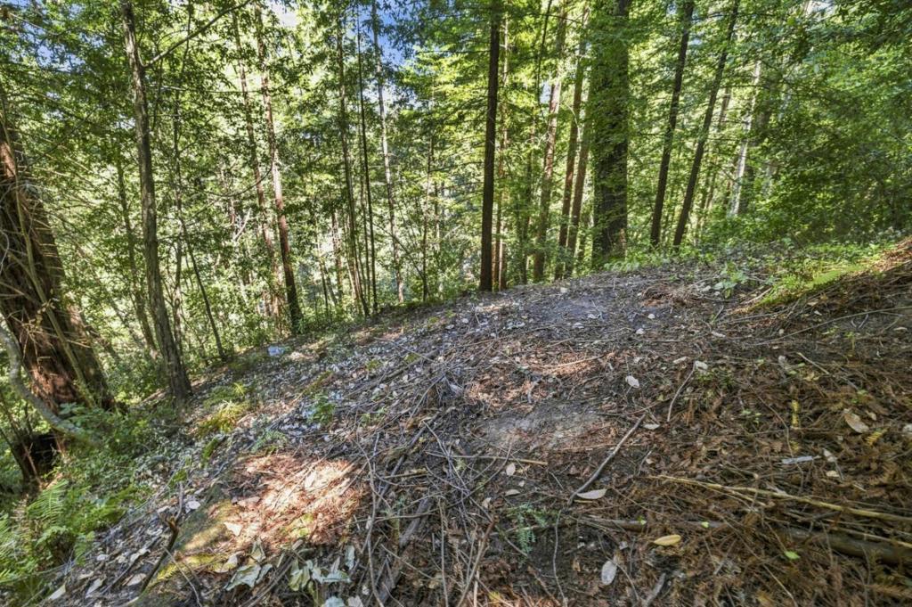 1130 Blue Ridge Drive Property Photo 11