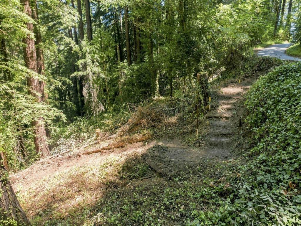 1130 Blue Ridge Drive Property Photo 22