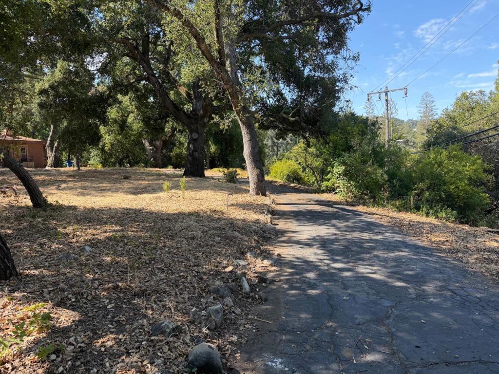 110 Johnson (lot 1) Avenue Property Photo 6