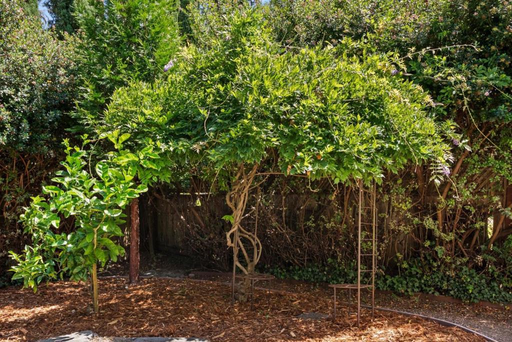 111 Izant Court Property Photo 33