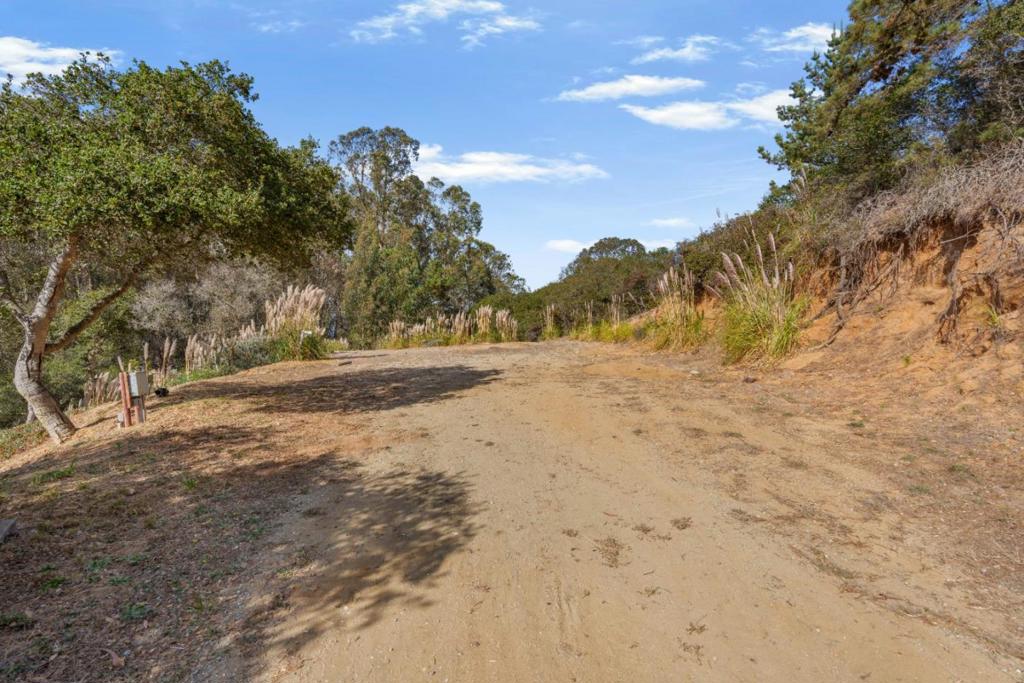 16919 Forrest Lane Property Photo 35