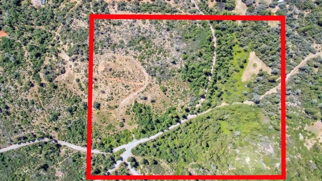 0 Lake Francis Property Photo 2