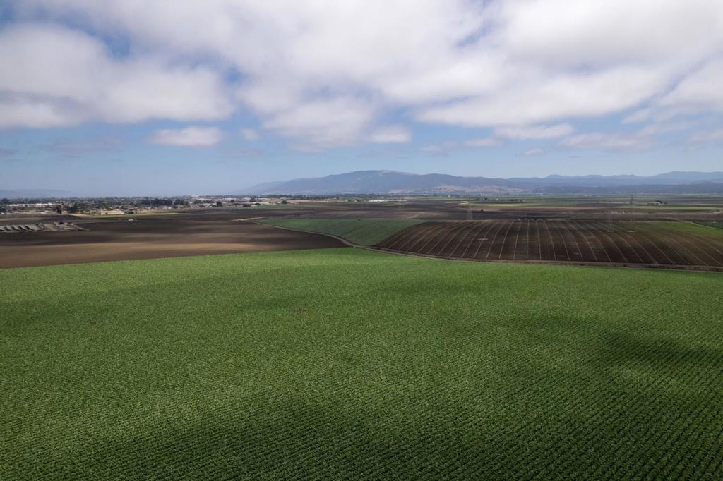ML82057559 Property Photo 18