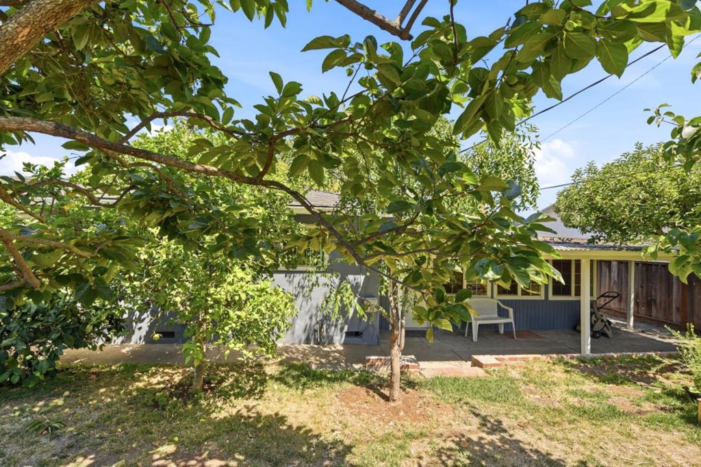 1464 Hillsdale Avenue Property Photo 39