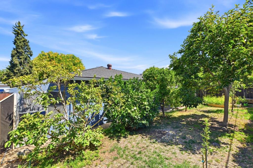 1464 Hillsdale Avenue Property Photo 41