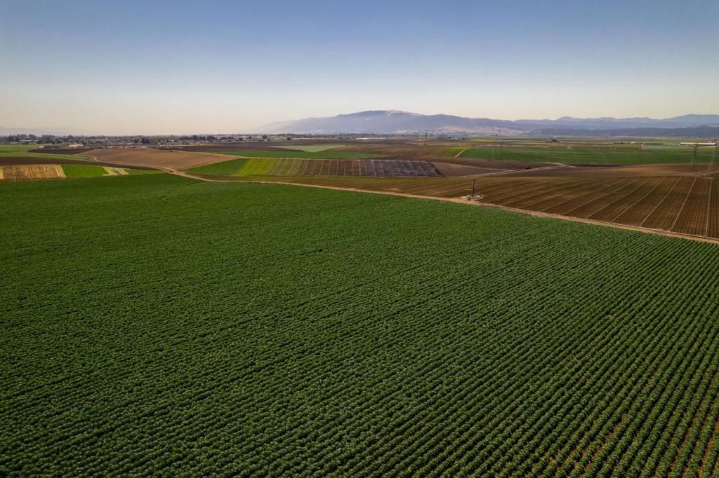 ML82057786 Property Photo 14