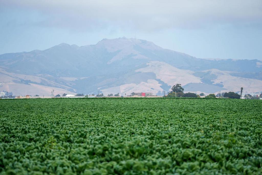 ML82057786 Property Photo 15
