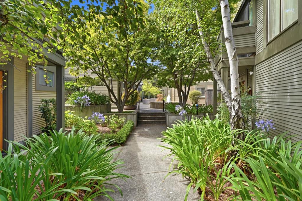 1341 Alma Street Property Photo 14