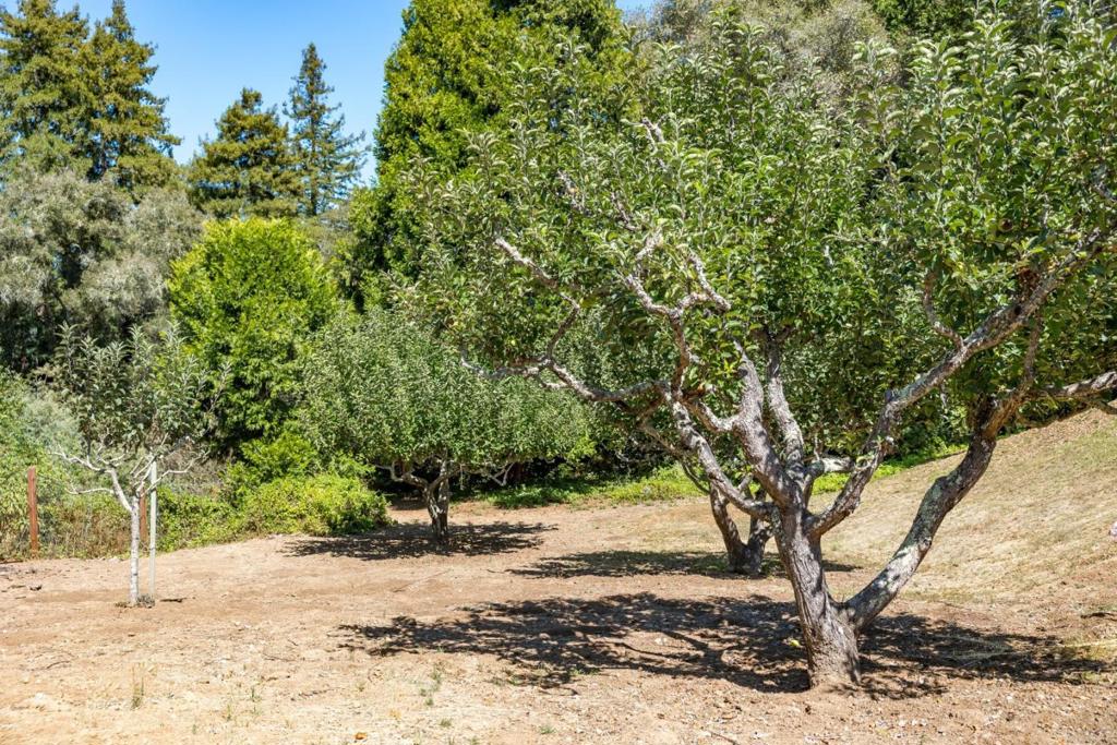 780 Lagunita Drive Property Photo 40