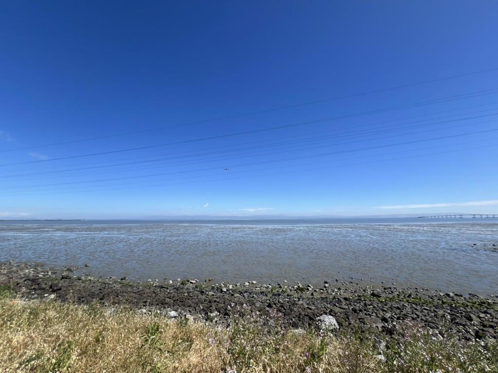 3 Bay Property Photo 31