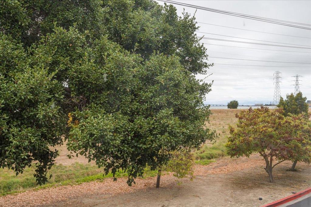 3 Bay Property Photo 32