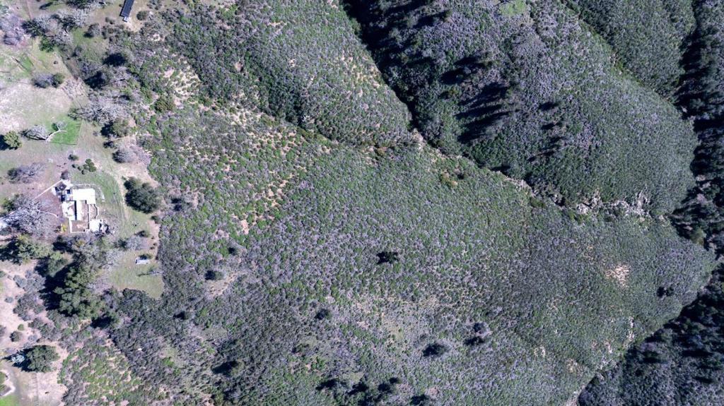 34994 Sky Ranch Road Property Photo 18