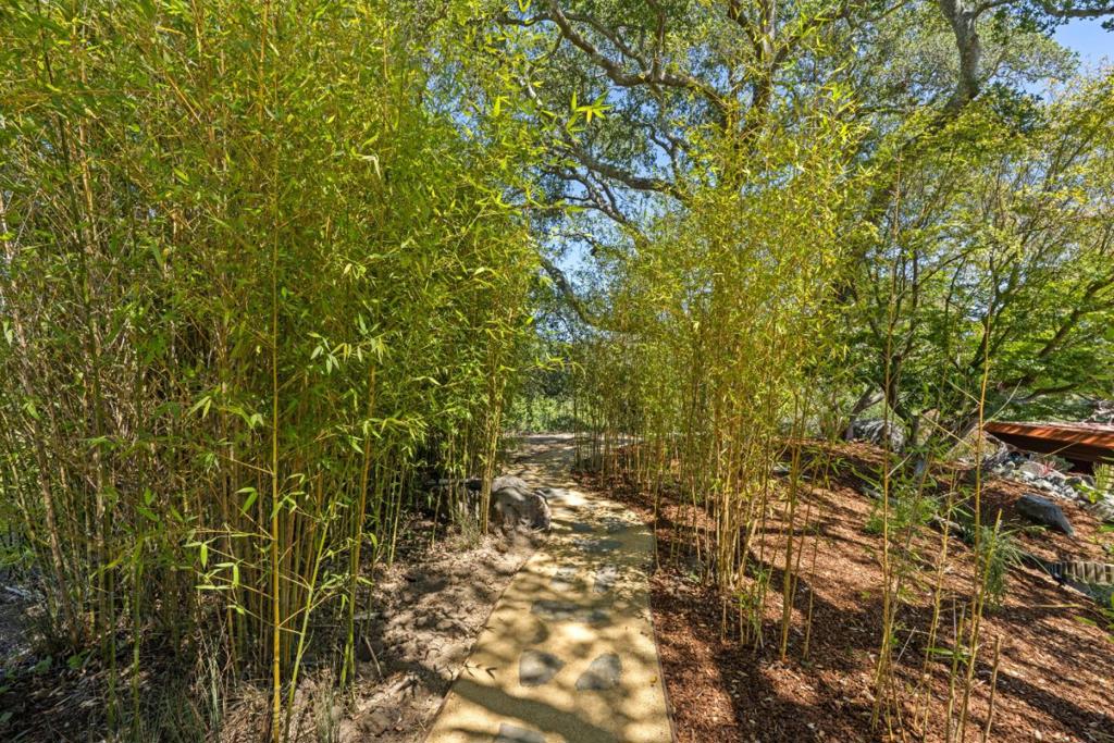 999 N Rodeo Gulch Road Property Photo 42