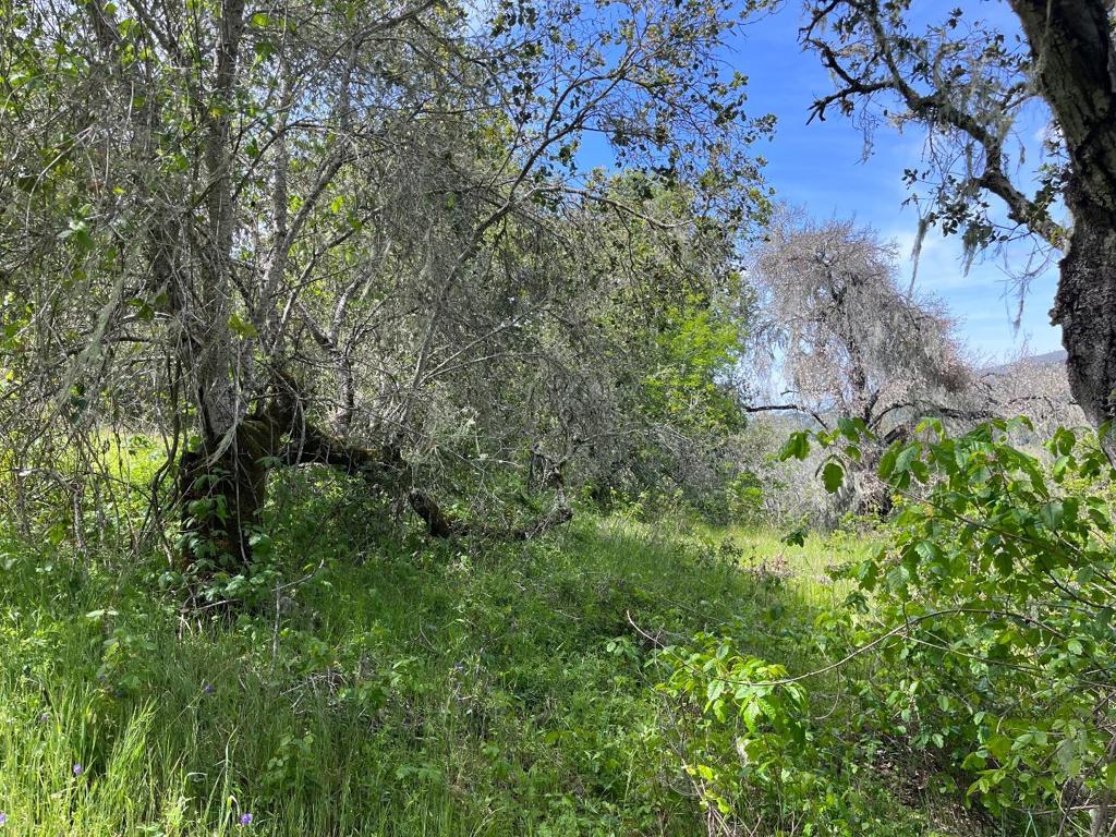 33446 E Carmel Valley Road Property Photo 1