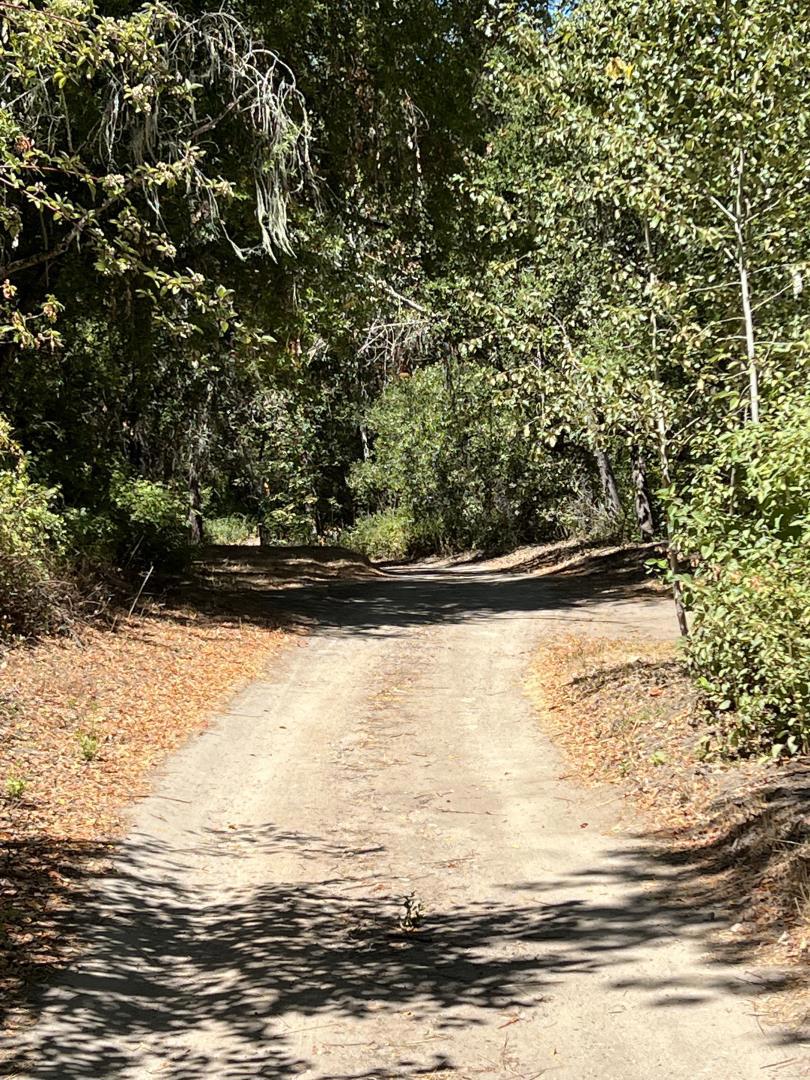 33446 E Carmel Valley Road Property Photo 2