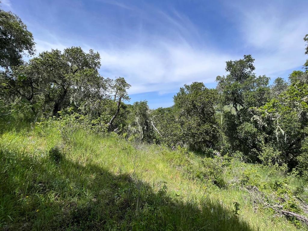 33446 E Carmel Valley Road Property Photo 3