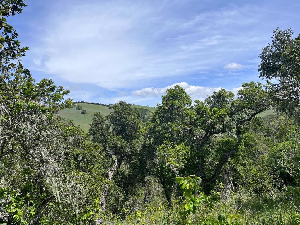 33446 E Carmel Valley Road Property Photo 4
