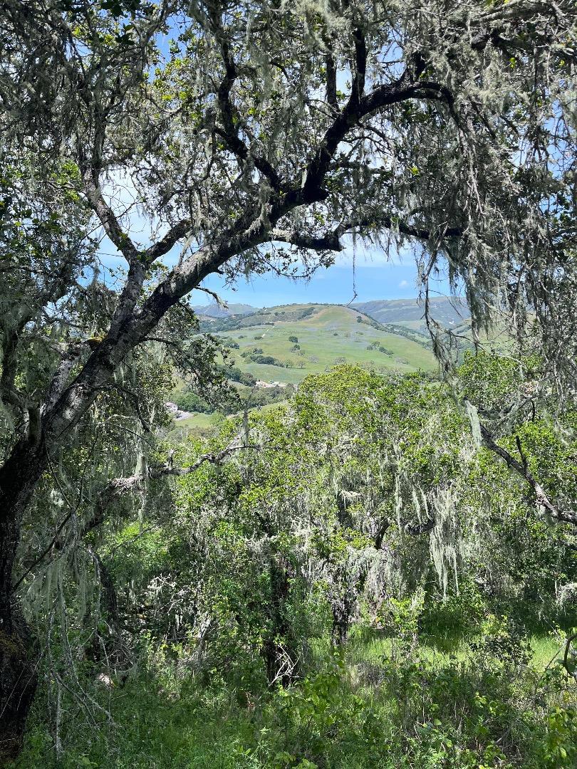 33446 E Carmel Valley Road Property Photo 5