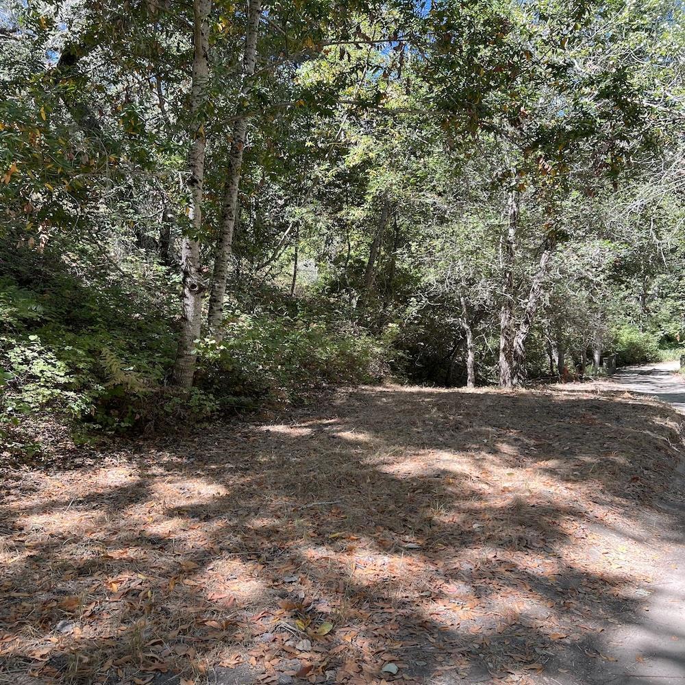 33446 E Carmel Valley Road Property Photo 7