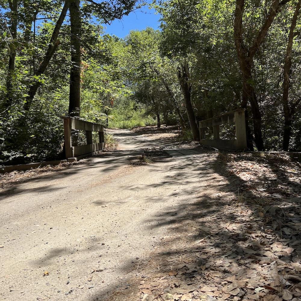 33446 E Carmel Valley Road Property Photo 8