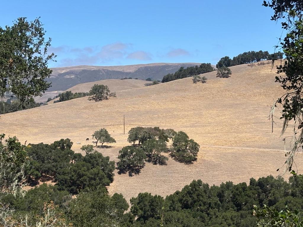 33446 E Carmel Valley Road Property Photo 10