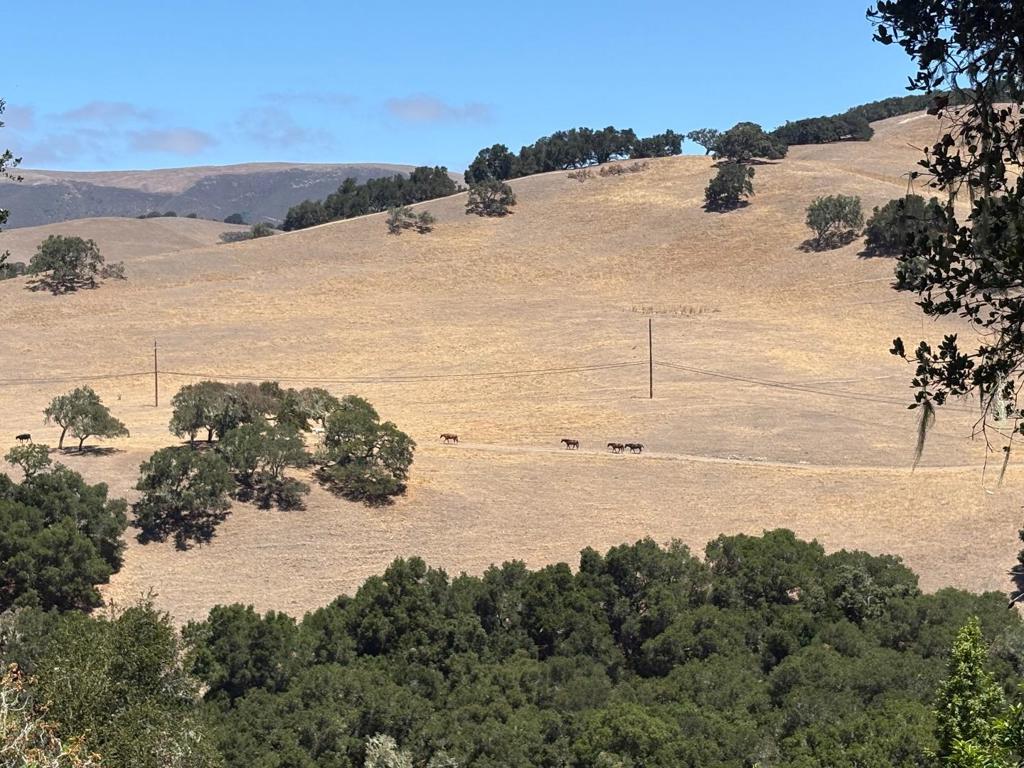33446 E Carmel Valley Road Property Photo 13
