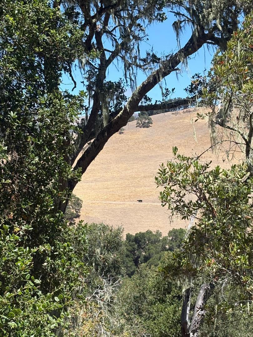 33446 E Carmel Valley Road Property Photo 15