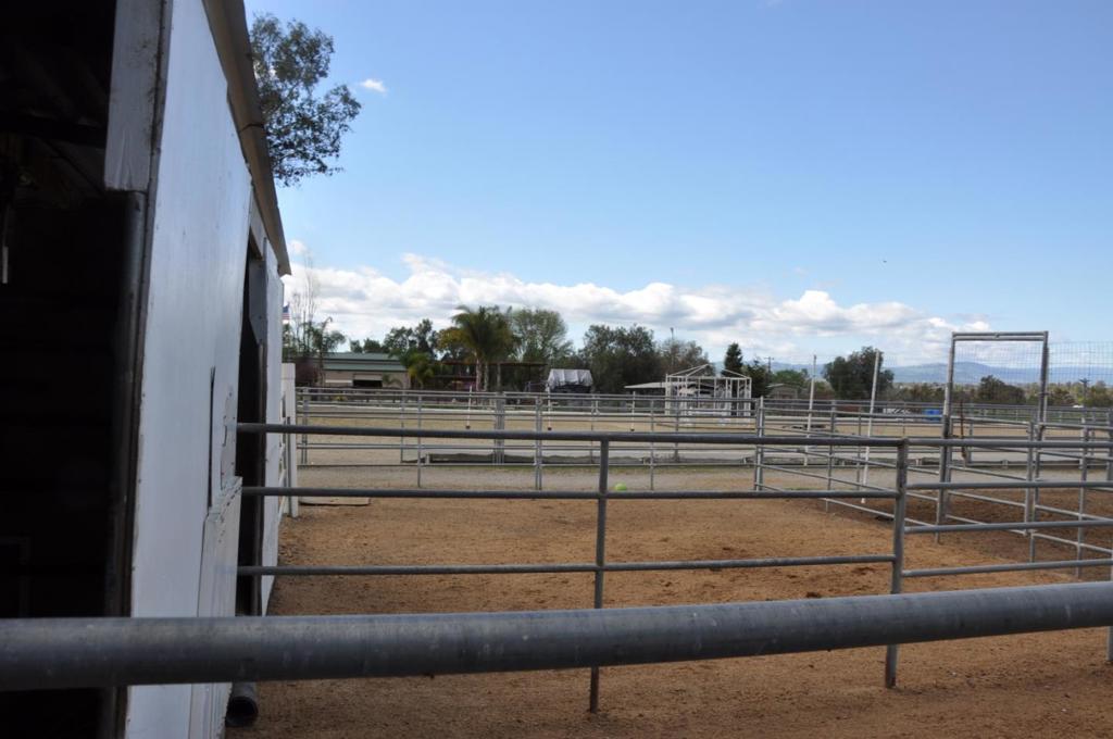 300 Mcmahon Road Property Photo 23