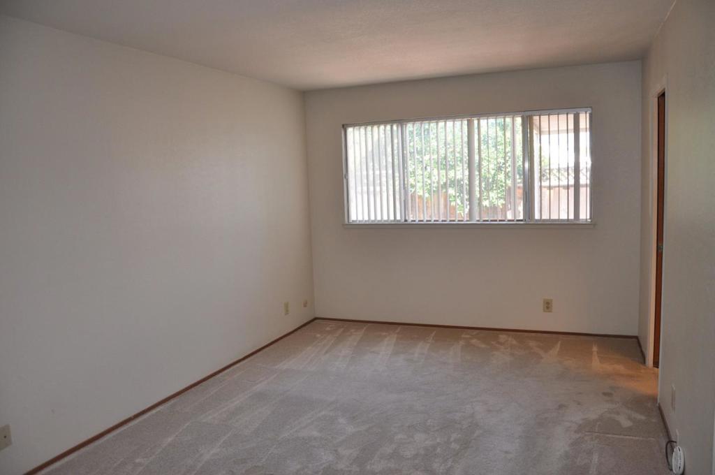 567 Hyde Park Drive Property Photo 6