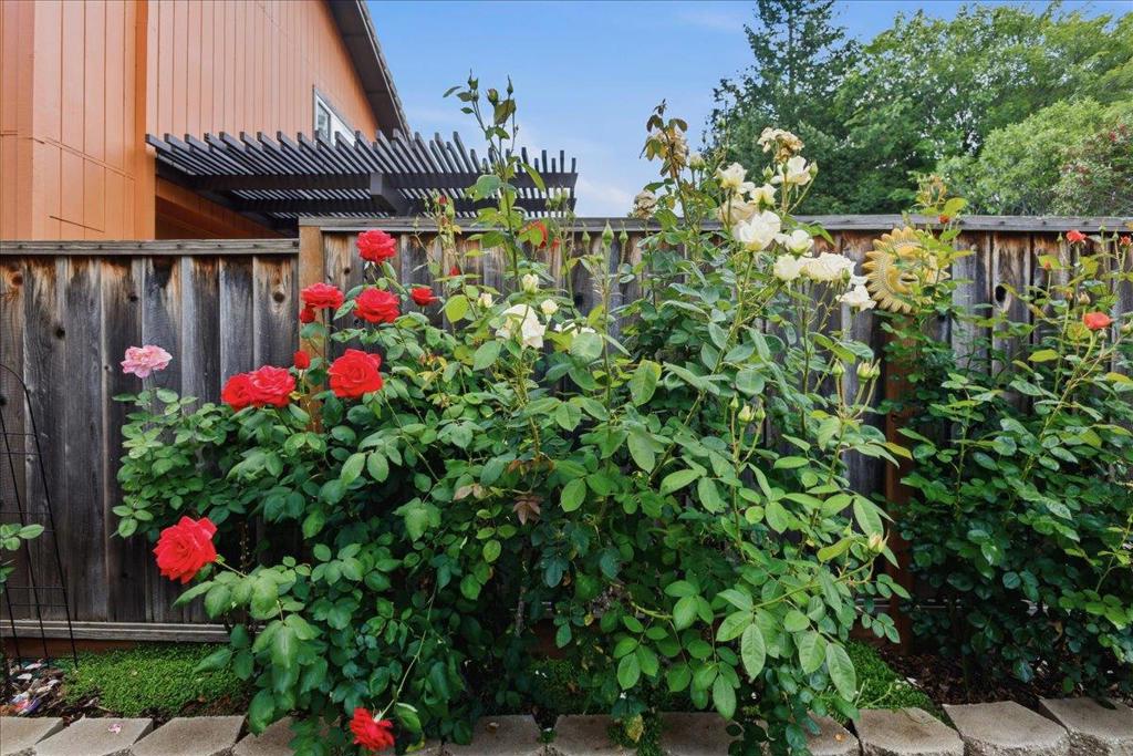 6519 Skyfarm Drive Property Photo 46