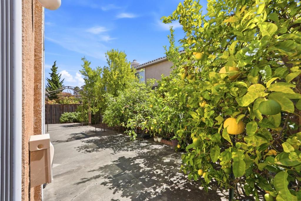 2348 Seacrest Court Property Photo 49
