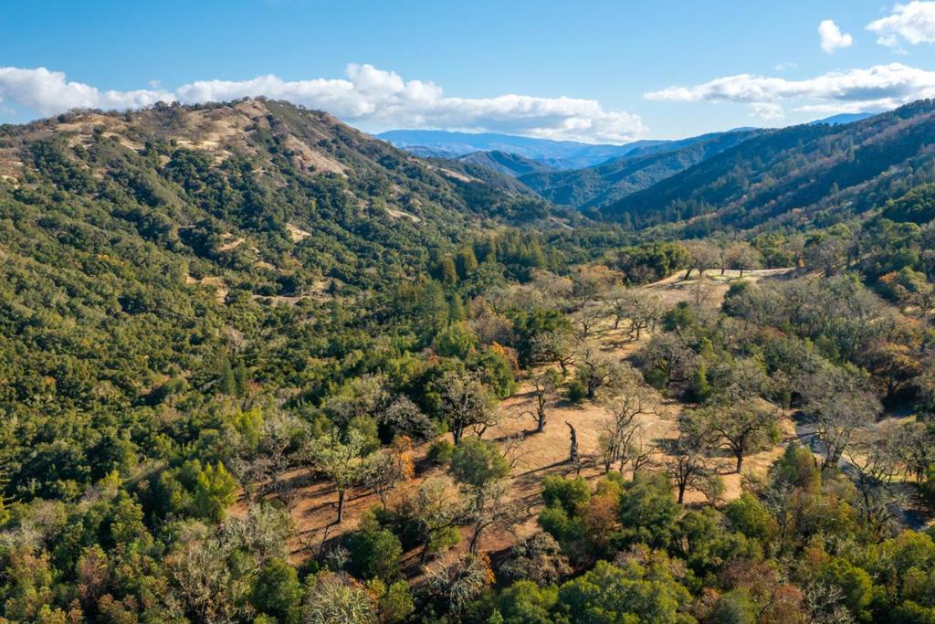 37 Arroyo Sequoia (lot 113) Property Photo 1
