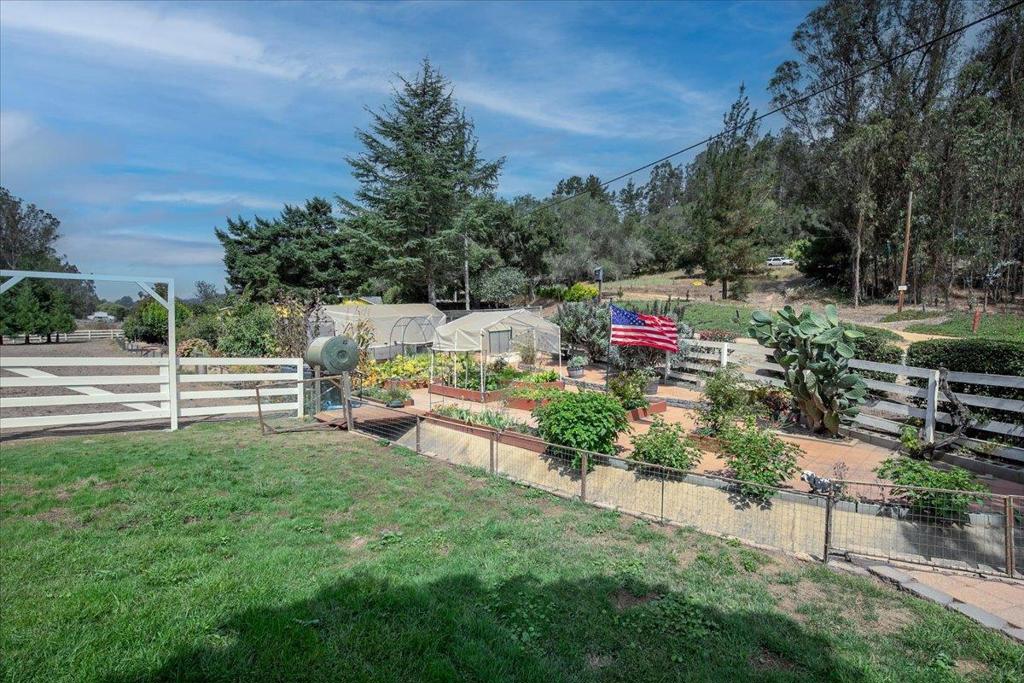 800 Lewis Road Property Photo 3