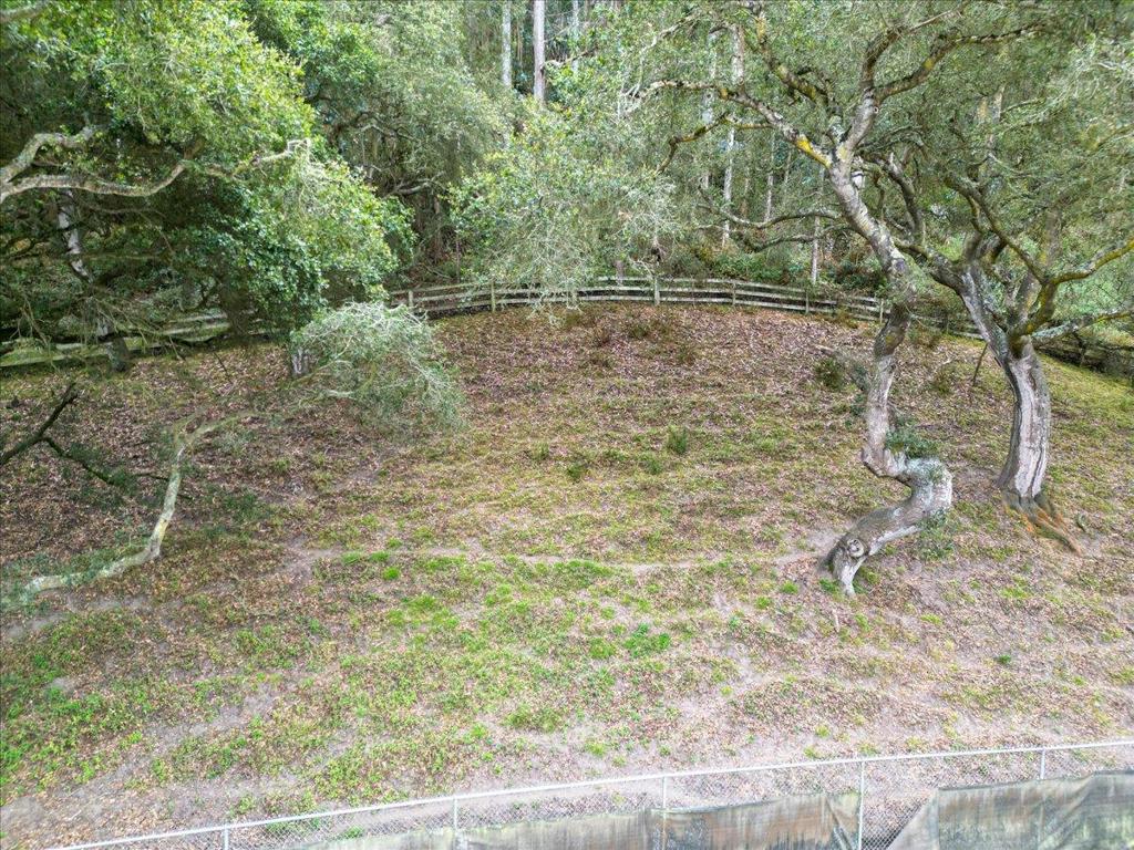 800 Lewis Road Property Photo 50