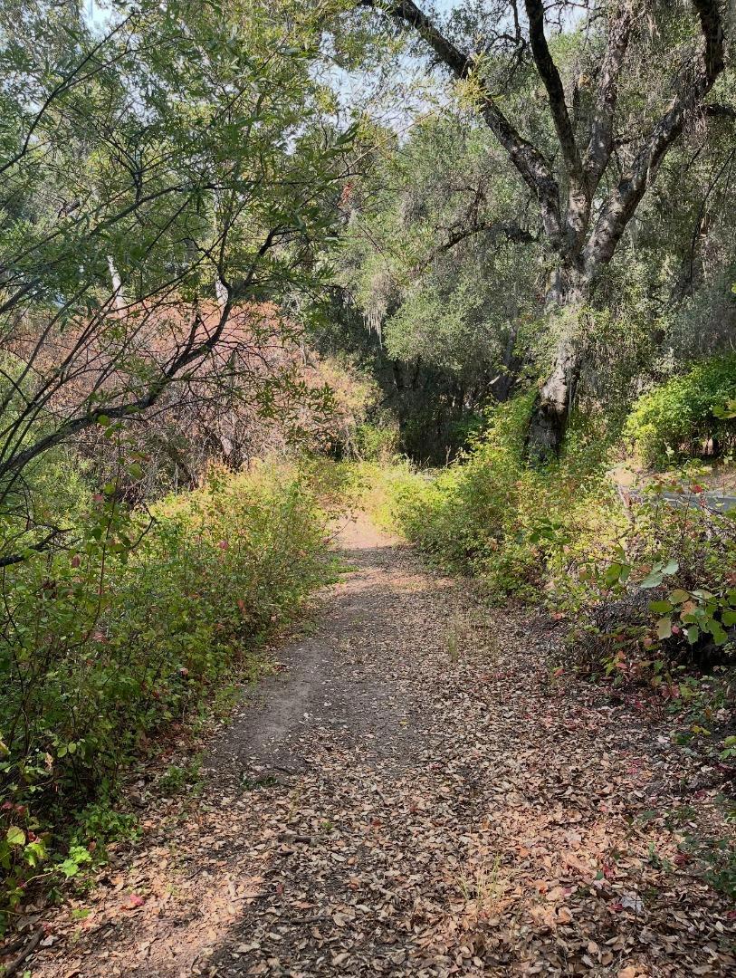 1000 Cachagua Property Photo 1