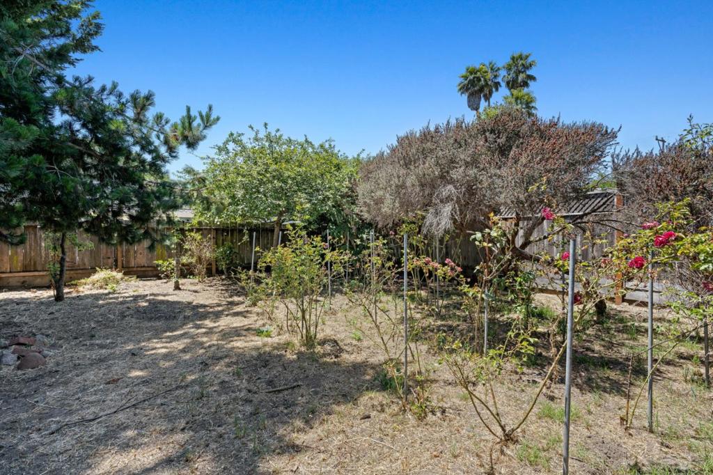 1024 Webster Street Property Photo 10