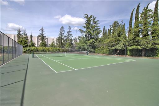 833 Lotus Flower Loop Property Photo 65