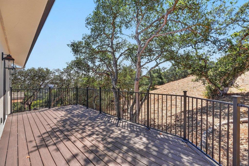 14020 Tres Ninas Court Property Photo 16