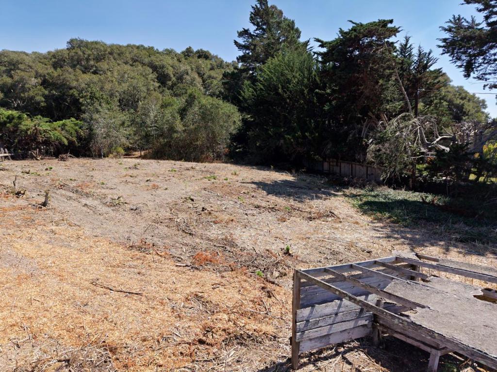 26655 Pancho Way Property Photo 4