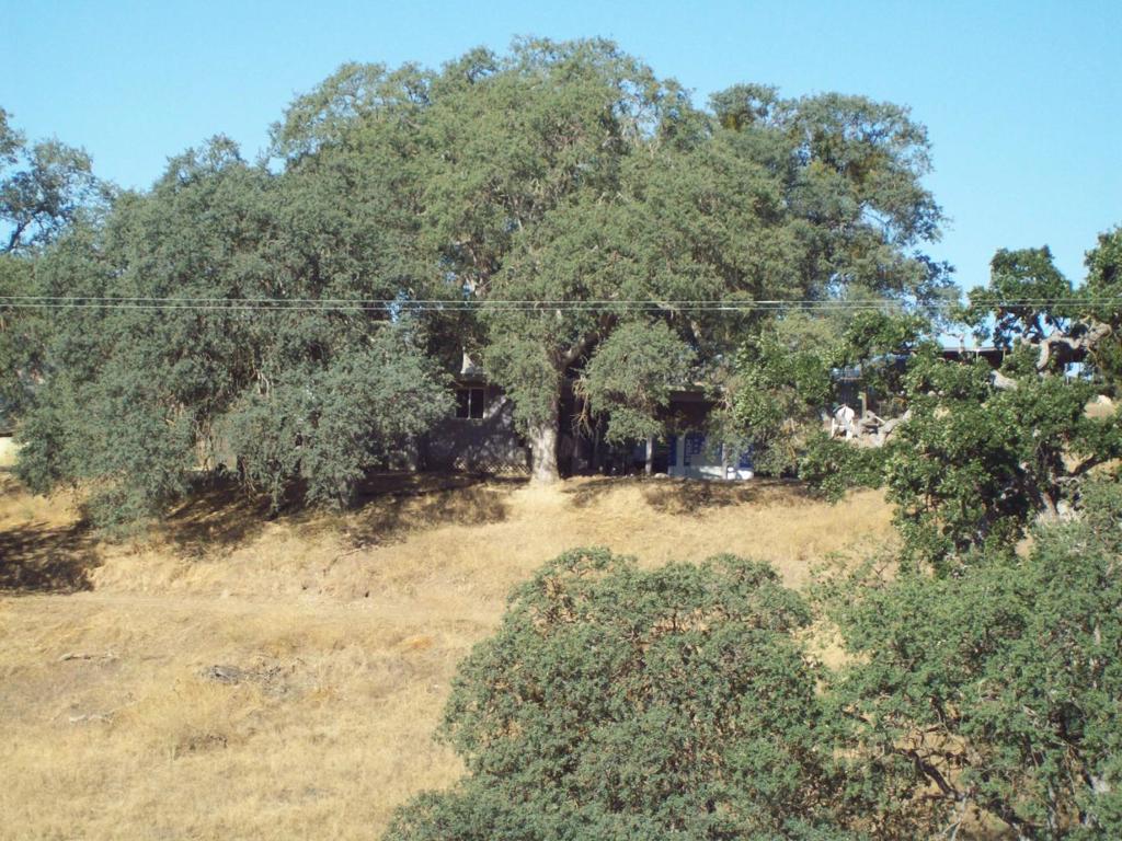 20077 Panoche Property Photo 4