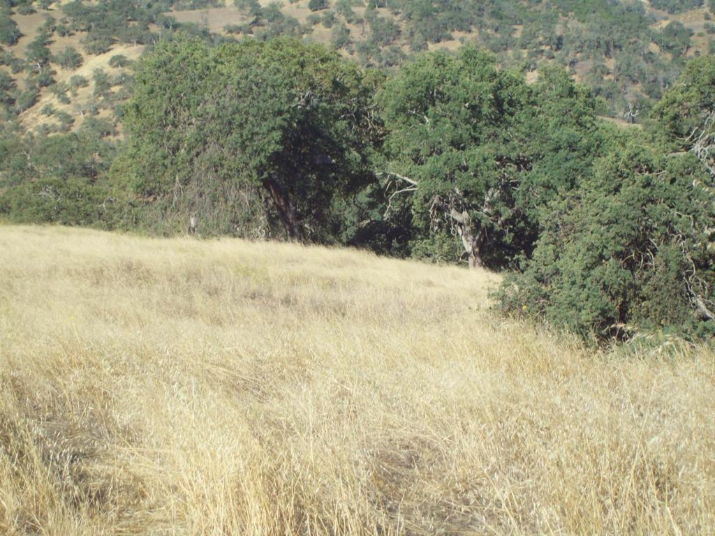 20077 Panoche Property Photo 5