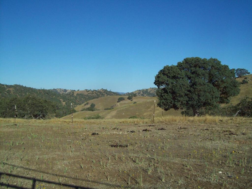 20077 Panoche Property Photo 6