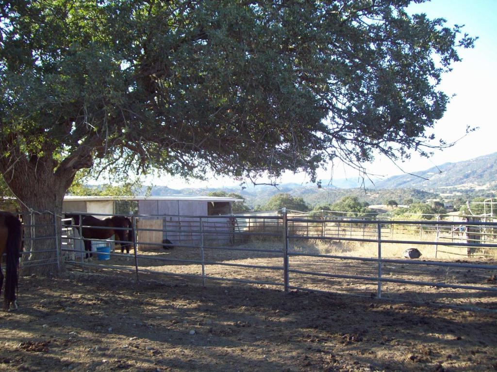 20077 Panoche Property Photo 7
