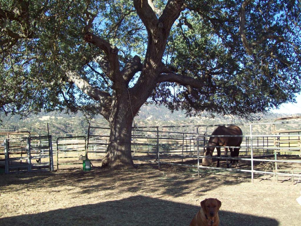 20077 Panoche Property Photo 11
