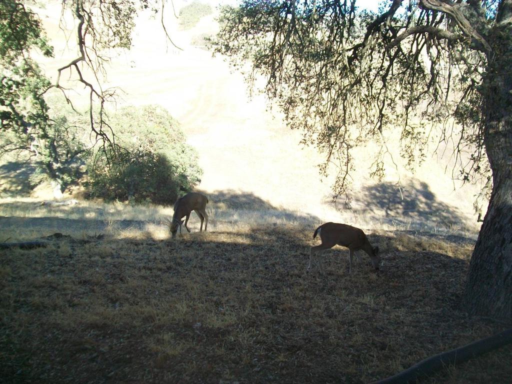 20077 Panoche Property Photo 12